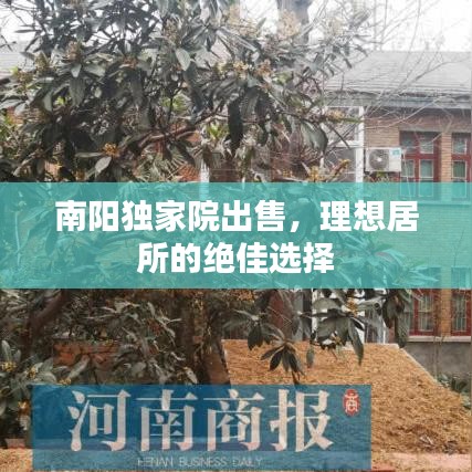 南阳独家院出售,理想居所的绝佳选择