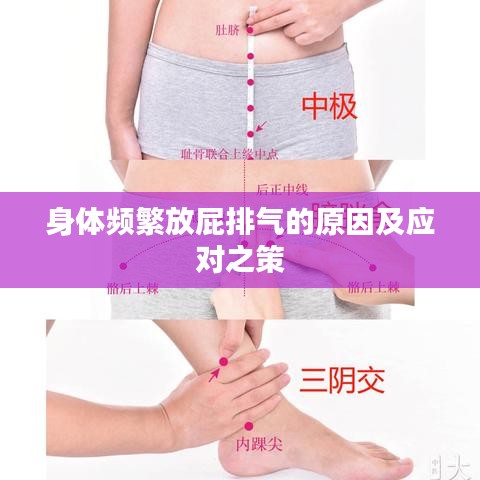 身体频繁放屁排气的原因及应对之策