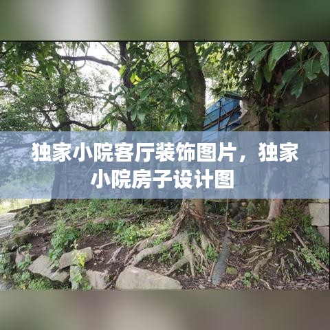 独家小院客厅装饰图片,独家小院房子设计图