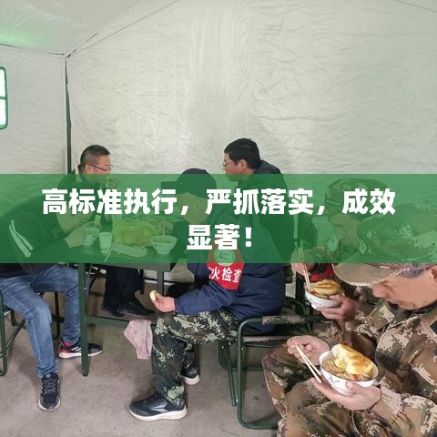 高标准执行,严抓落实,成效显著!