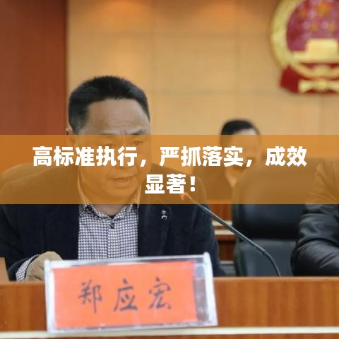 高标准执行,严抓落实,成效显著!