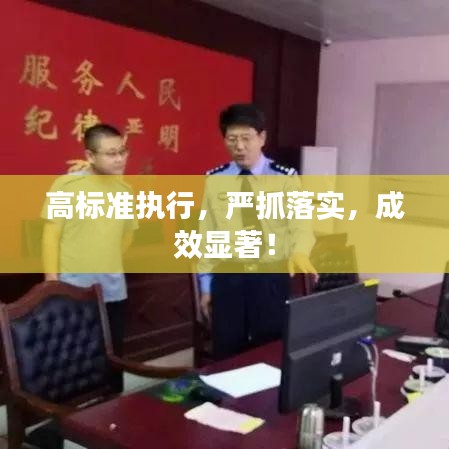 高标准执行,严抓落实,成效显著!