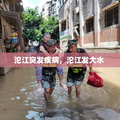 沱江突发疾病，沱江发大水 