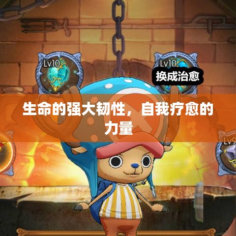 生命的强大韧性，自我疗愈的力量