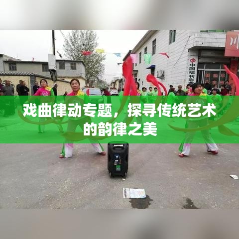 戏曲律动专题，探寻传统艺术的韵律之美