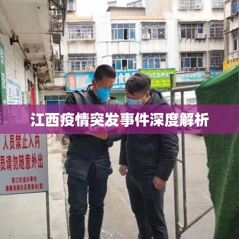 江西疫情突发事件深度解析