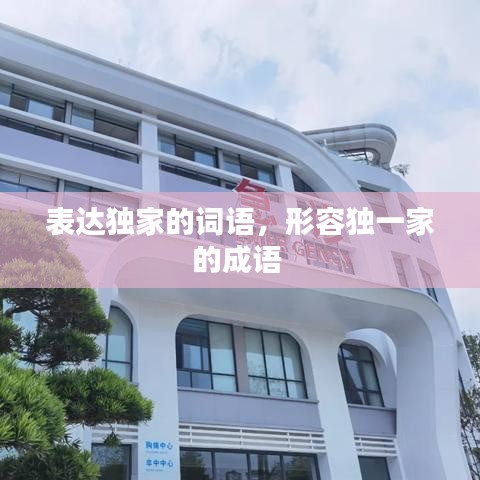 表达独家的词语,形容独一家的成语