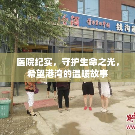 医院纪实，守护生命之光，希望港湾的温暖故事