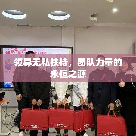 领导无私扶持，团队力量的永恒之源