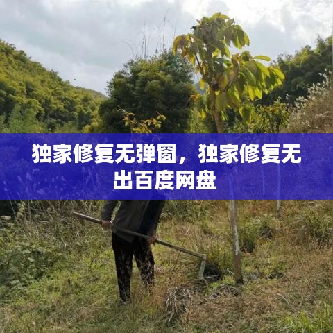独家修复无弹窗，独家修复无出百度网盘 
