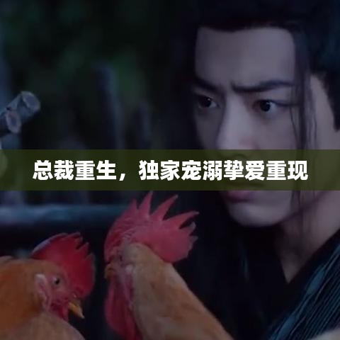 总裁重生,独家宠溺挚爱重现