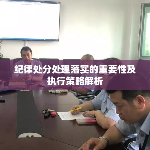 纪律处分处理落实的重要性及执行策略解析
