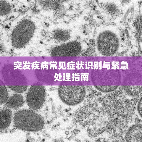 突发疾病常见症状识别与紧急处理指南