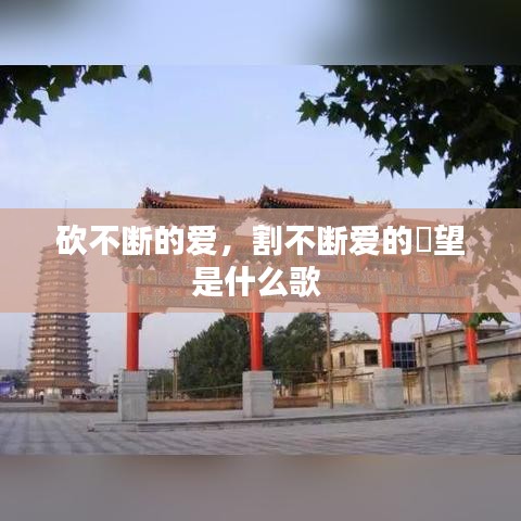 砍不断的爱，割不断爱的瞭望是什么歌 
