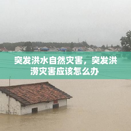 突发洪水自然灾害，突发洪涝灾害应该怎么办 