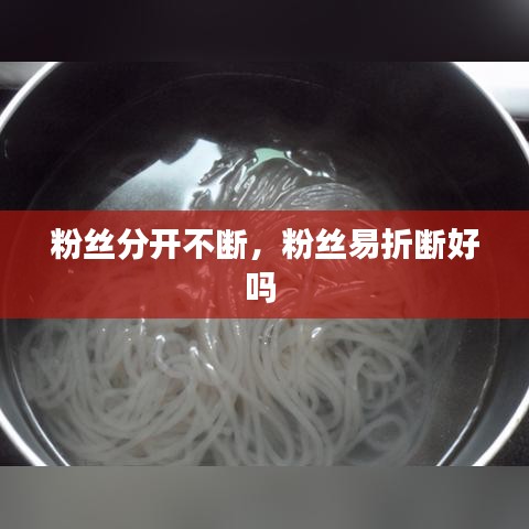 粉丝分开不断,粉丝易折断好吗