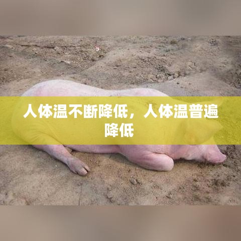 人体温不断降低,人体温普遍降低