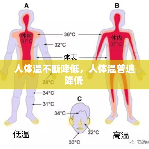 人体温不断降低,人体温普遍降低
