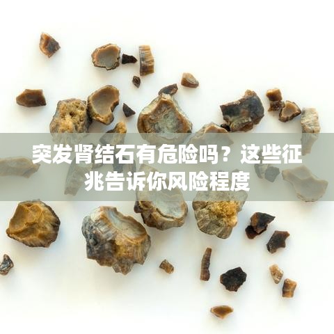 突发肾结石有危险吗?这些征兆告诉你风险程度