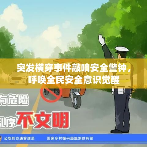 突发横穿事件敲响安全警钟,呼唤全民安全意识觉醒