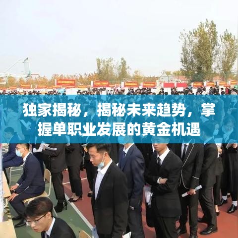独家揭秘,揭秘未来趋势,掌握单职业发展的黄金机遇