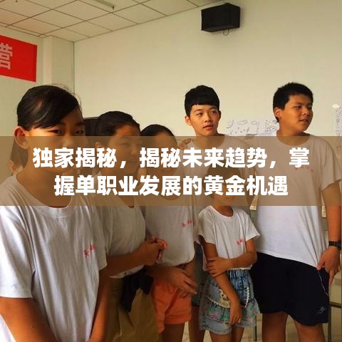 独家揭秘,揭秘未来趋势,掌握单职业发展的黄金机遇