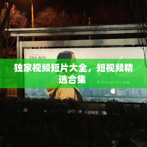 独家视频短片大全,短视频精选合集