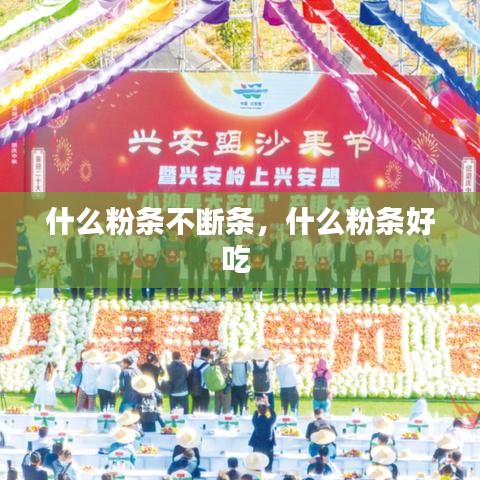 什么粉条不断条，什么粉条好吃 