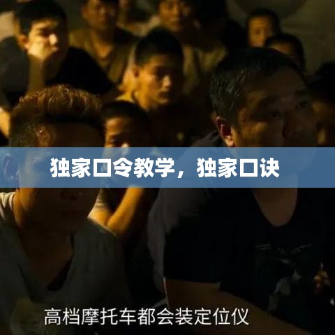 独家口令教学,独家口诀