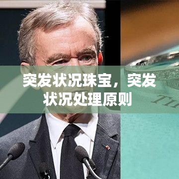 突发状况珠宝，突发状况处理原则 