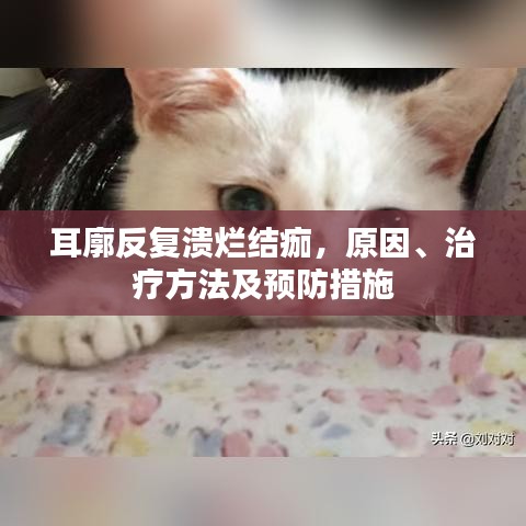 耳廓反复溃烂结痂，原因、治疗方法及预防措施