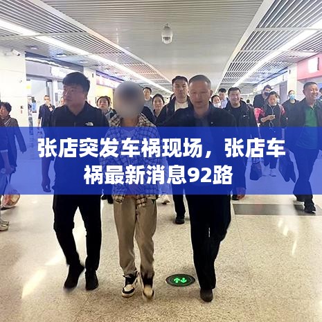 六鹢退飞 第7页