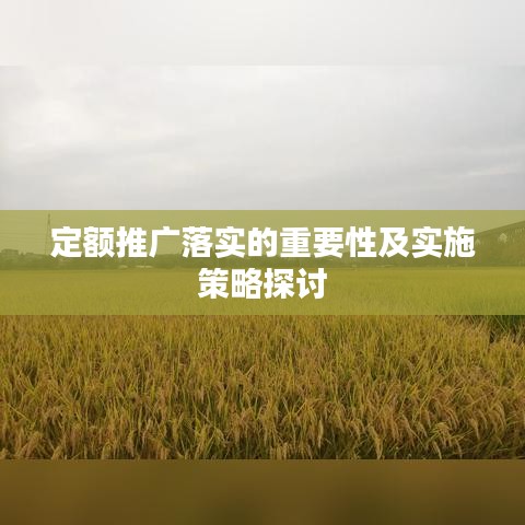 定额推广落实的重要性及实施策略探讨