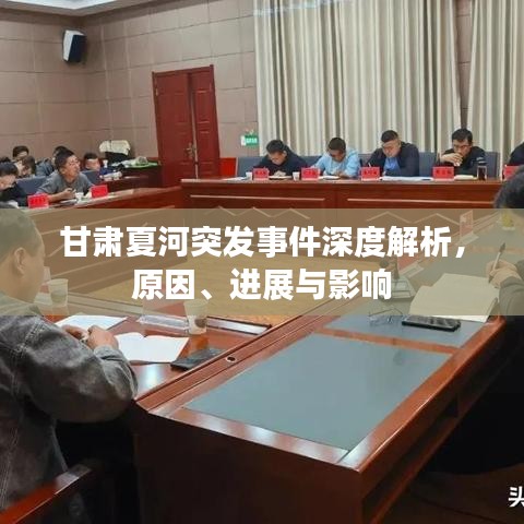 甘肃夏河突发事件深度解析,原因、进展与影响