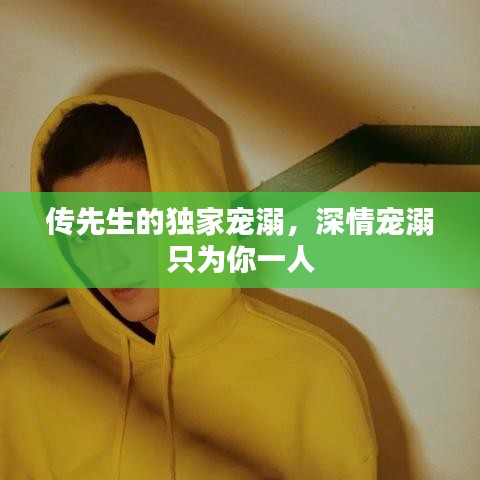 传先生的独家宠溺，深情宠溺只为你一人