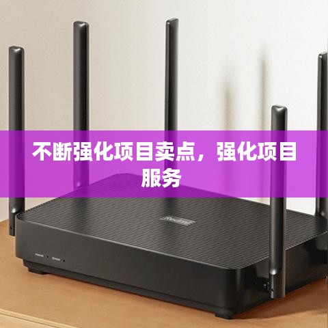 不断强化项目卖点，强化项目服务 