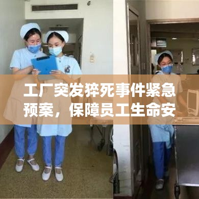 工厂突发猝死事件紧急预案，保障员工生命安全，迅速应对危机