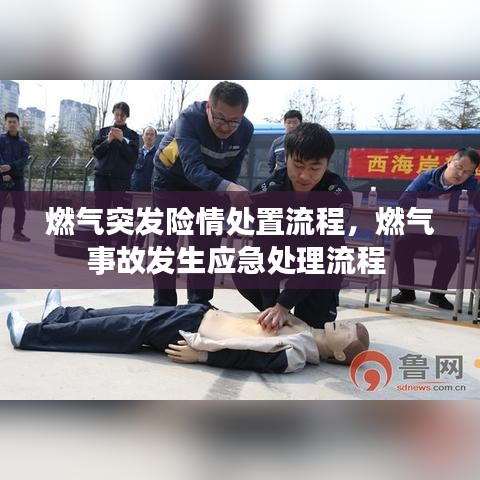 粗制滥造 第6页