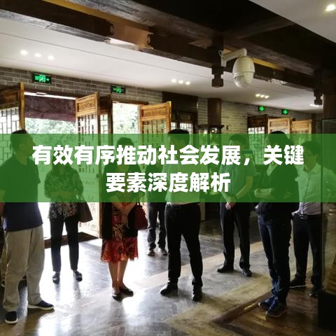 有效有序推动社会发展，关键要素深度解析