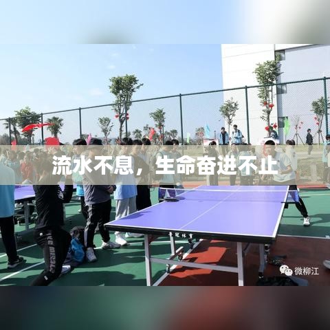 流水不息，生命奋进不止