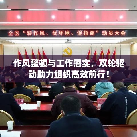 作风整顿与工作落实,双轮驱动助力组织高效前行!