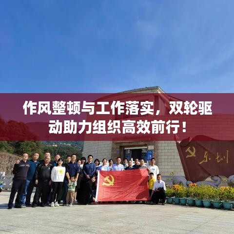 作风整顿与工作落实,双轮驱动助力组织高效前行!