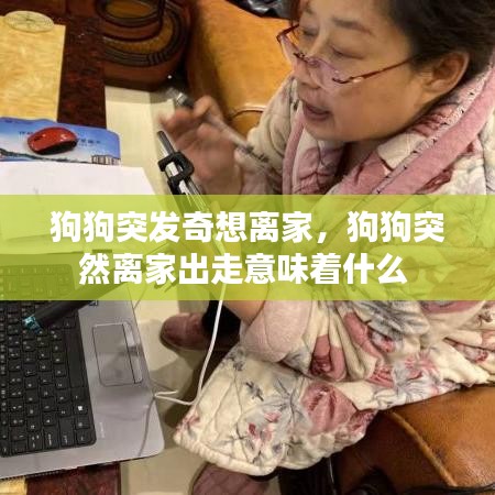 狗狗突发奇想离家，狗狗突然离家出走意味着什么 