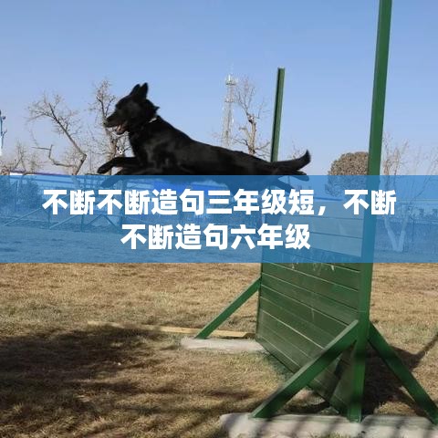 熊经鸟申 第8页