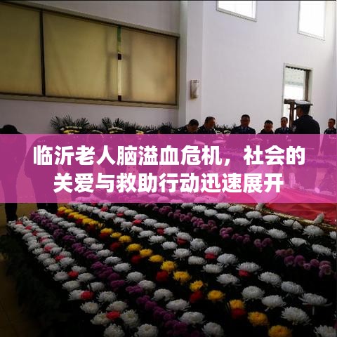 临沂老人脑溢血危机，社会的关爱与救助行动迅速展开