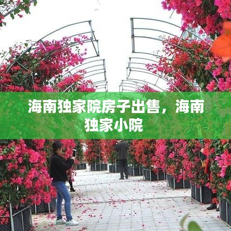 海南独家院房子出售，海南独家小院 
