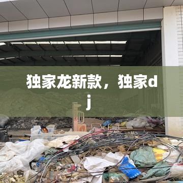 独家龙新款，独家dj 