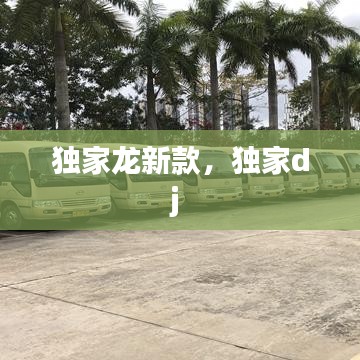 独家龙新款,独家dj