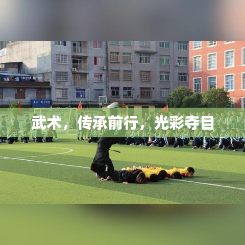 武术，传承前行，光彩夺目