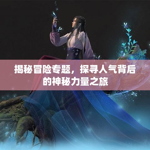 资质证书 第245页